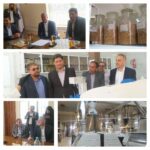 آرد توکل رفسنجان یکی از کارخانه های برتر ایران نیازمند تکمیل زنجیره تولید